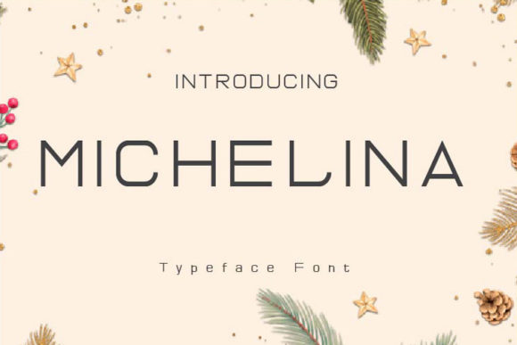 Michelina: A Modern Display Font That Elevates Small Business Branding