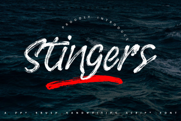 Stingers: A Display Font That Makes Your Brand Feel Instantly Polished